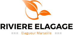 Elagueur à Marseille - Bouches du Rhône 13